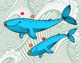 Coloriage Baleines colorié par raphael