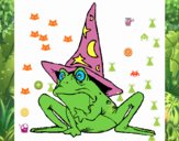 Coloriage Magicien transformé en grenouille colorié par raphael