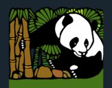 Coloriage Panda et bambou colorié par KAKE2