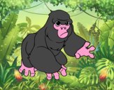 Gorille de montagne