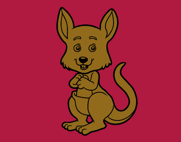 Un kangourou