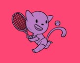 Chat tenis
