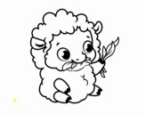 Bébé mouton