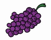 Grappes de raisin