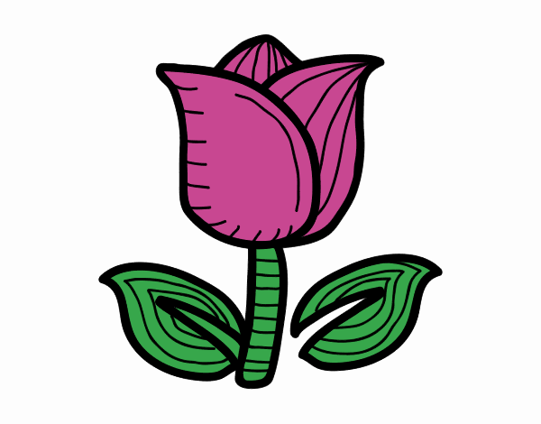Dessin de Tulipe colorie par Membre non inscrit le 27 de Mars de 2020 à
