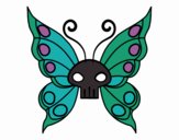 Papillon Emo
