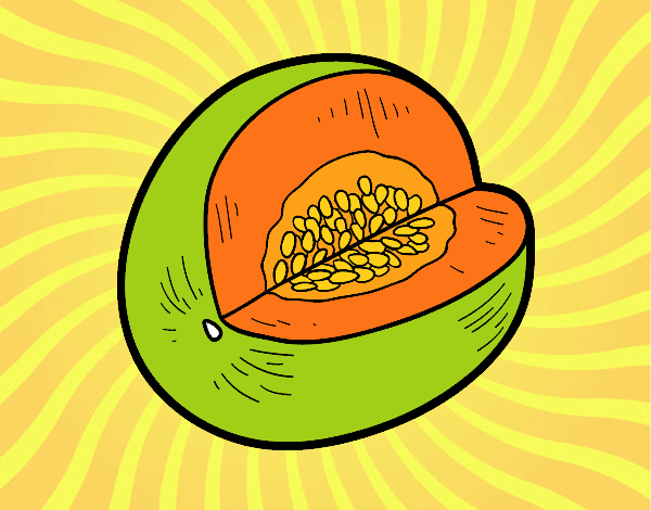 Melon Galia