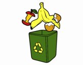Recyclage organique