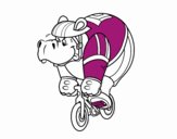 Cycliste hippopotame