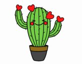 Cactus coeur