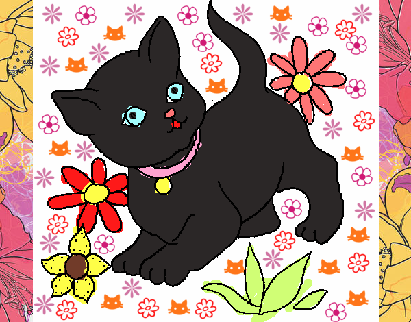 Le chaton entouré de fleurs 