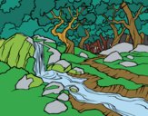 Paysage de forêt avec une rivière