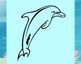 Adulte dauphin
