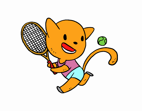 Chat tenis
