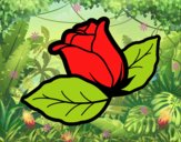 Rose avec des feuilles