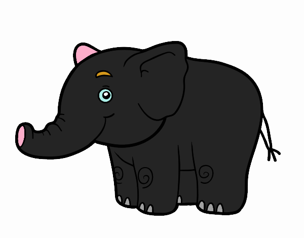 Un petit éléphant
