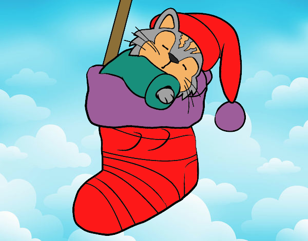 Chaton dormant dans un bas de Noël