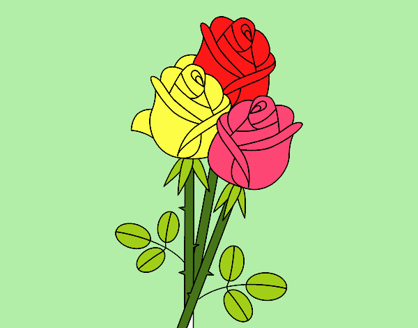 Un bouquet de roses