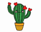 Cactus coeur