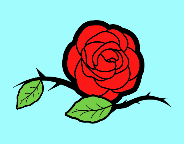 Dessin de Une belle rose colorie par Membre non inscrit le 29 de Mai de ...
